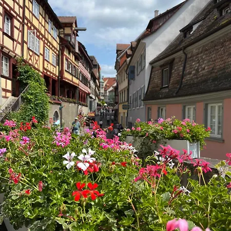 Burgblick-romantik Fuer 2 Mit Seesicht Im Winzerhaeusle